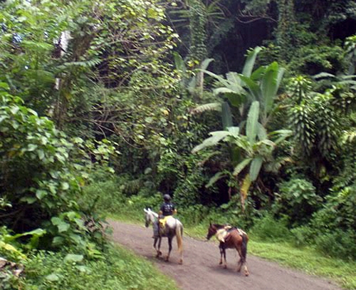 randonnée équestre Costa Rica