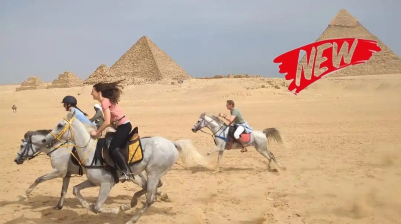 rando a cheval Egypte