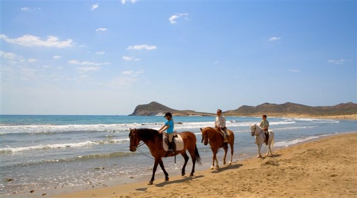 Balade à cheval sur la plage en Andalousie - Andaluciamia