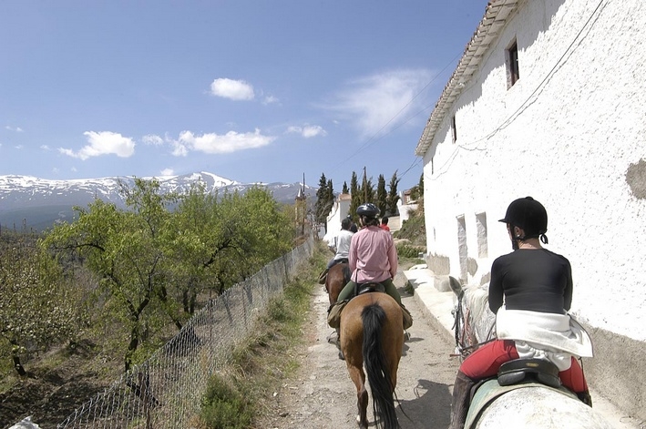 cheval en andalousie