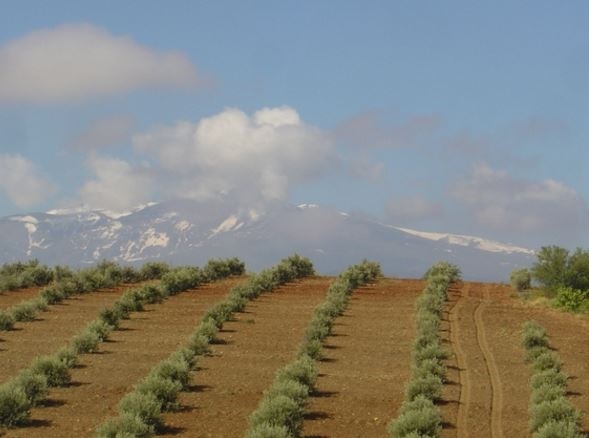 rando cheval Espagne andalousie