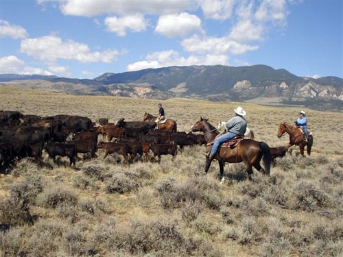 trek a cheval usa