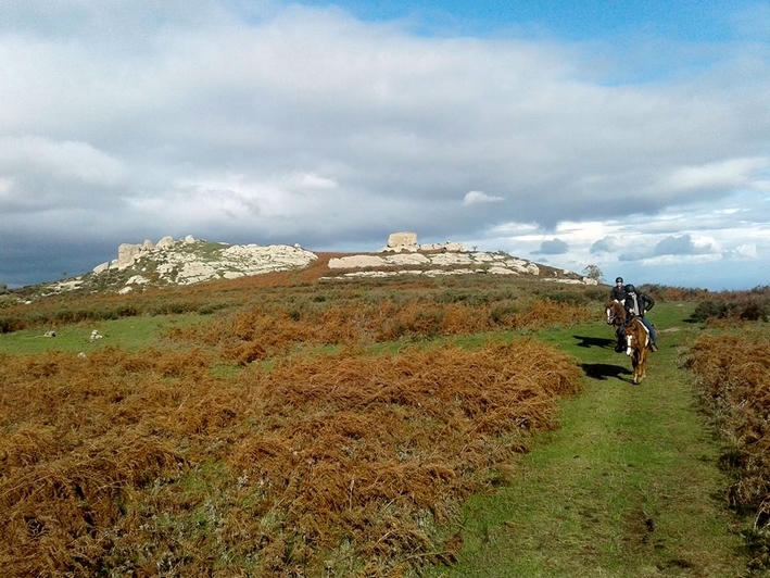 cheval en sicile