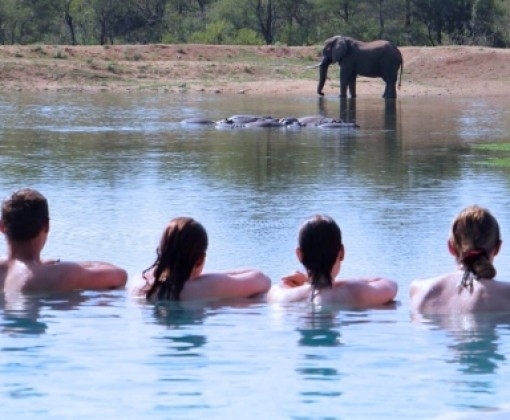 safari à cheval