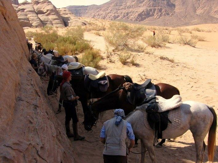 semaine à cheval en Jordanie