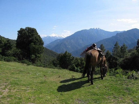 vacances a cheval en Corse