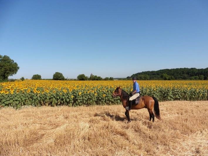 randonnee equestre chateaux de la loire