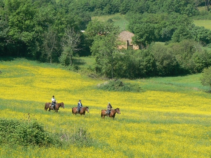 randonnee equestre dordogne