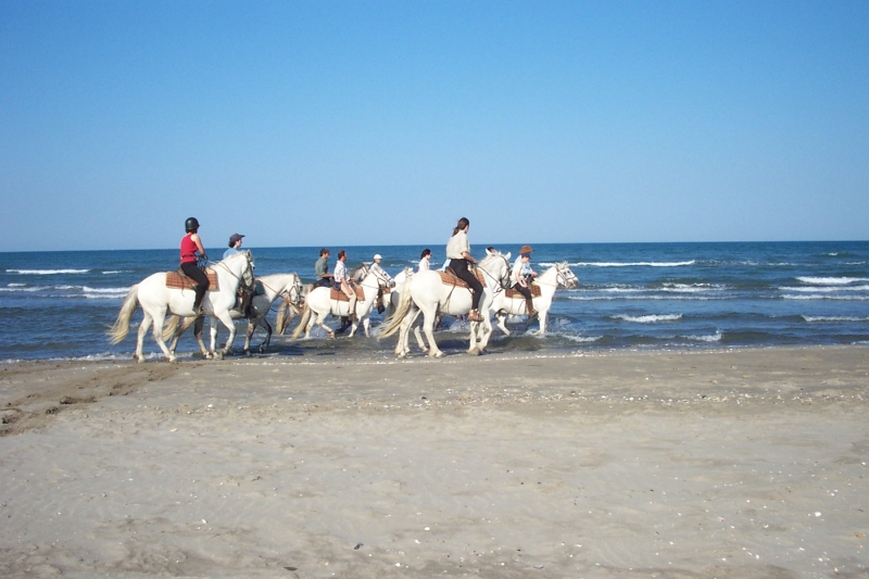 randonnée à cheval en Camargue