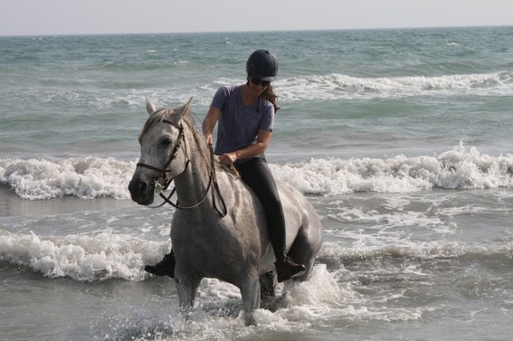 rando a cheval Camargue