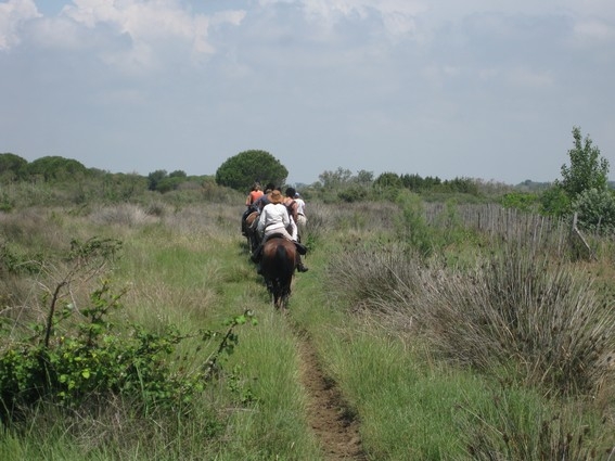 week end a cheval Camargue