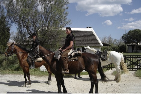 rando à cheval en Camargue