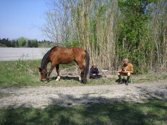 stage cheval Camargue