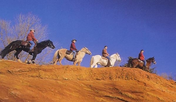 randonnee a cheval en provence