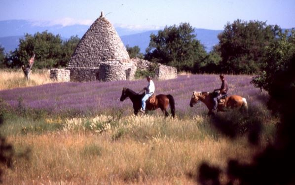 voyage a cheval provence