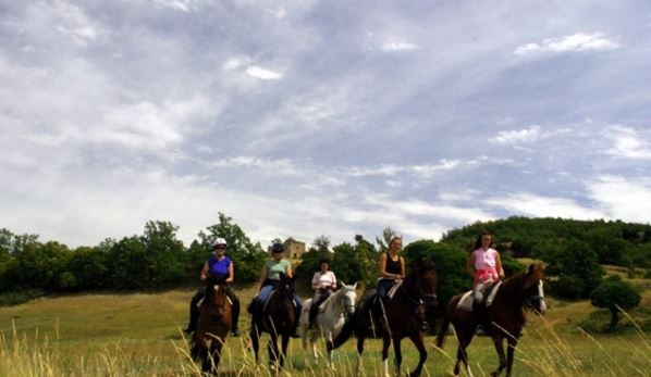 vins de provence a cheval