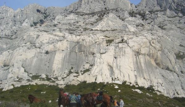 provence a cheval