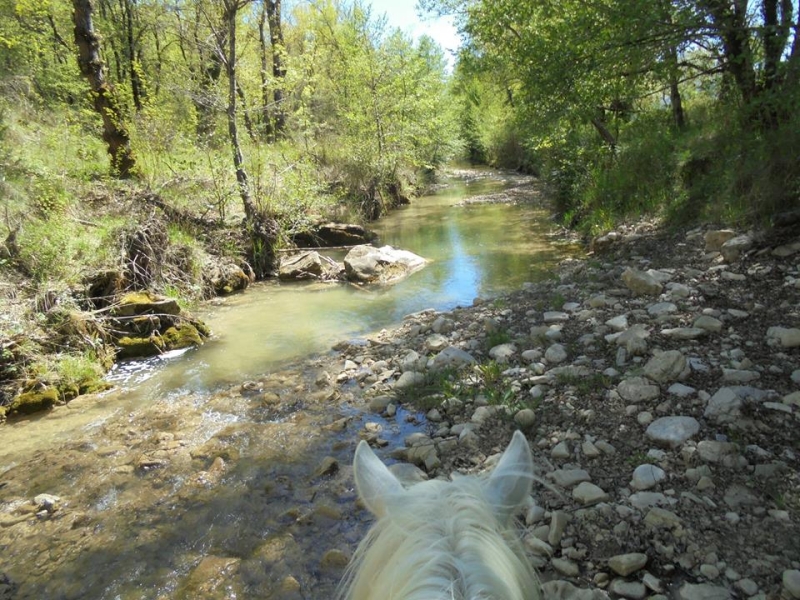 randonnee a cheval dans le Vaucluse