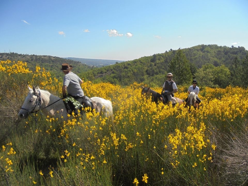 vacances a cheval Luberon