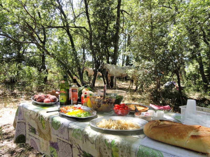 a cheval en provence