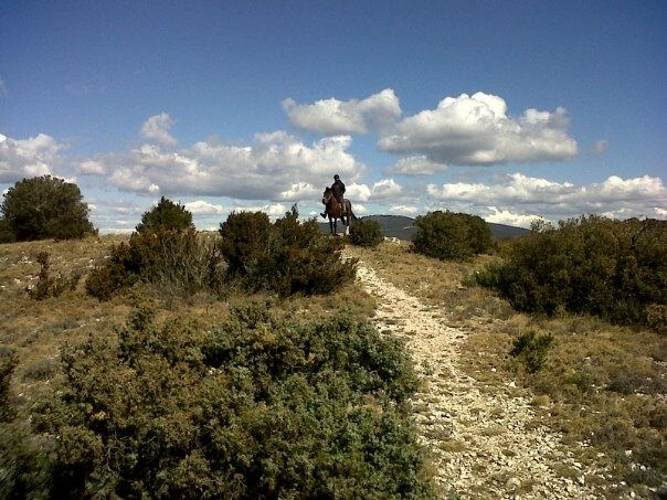 week end rando cheval alpilles