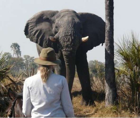 rando a cheval Okavango