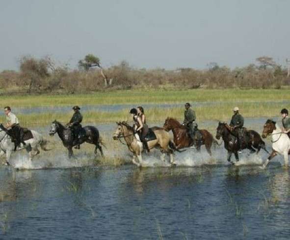 safari a cheval Okavango