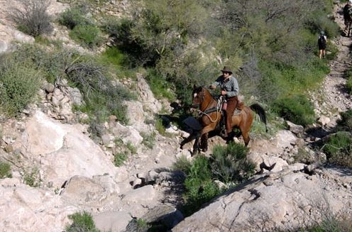 randonnee a cheval arizona