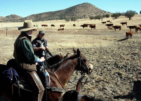 ouest amerique a cheval