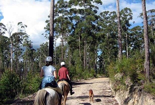 voyage a cheval en australie