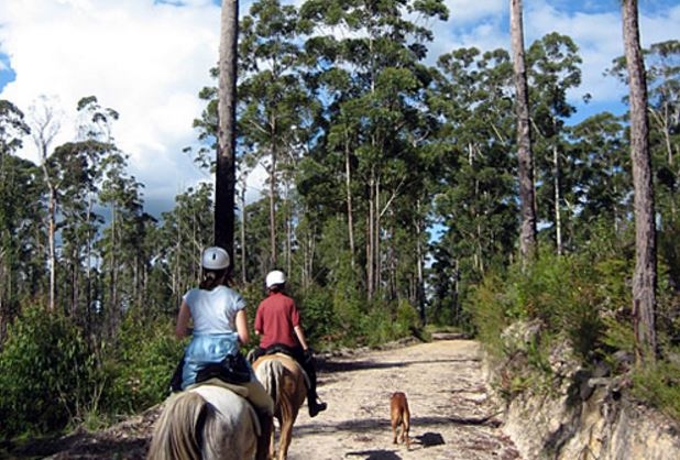 voyage a cheval en australie