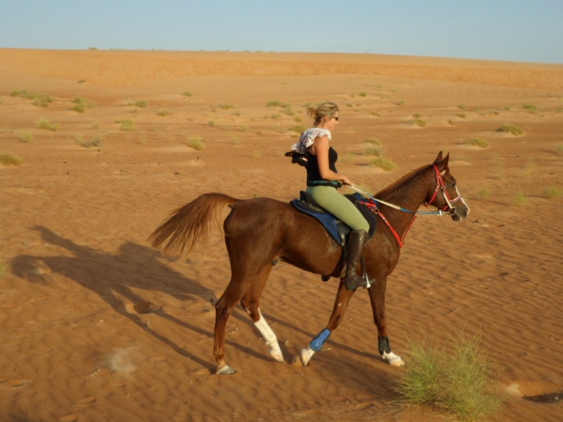 rando cheval oman