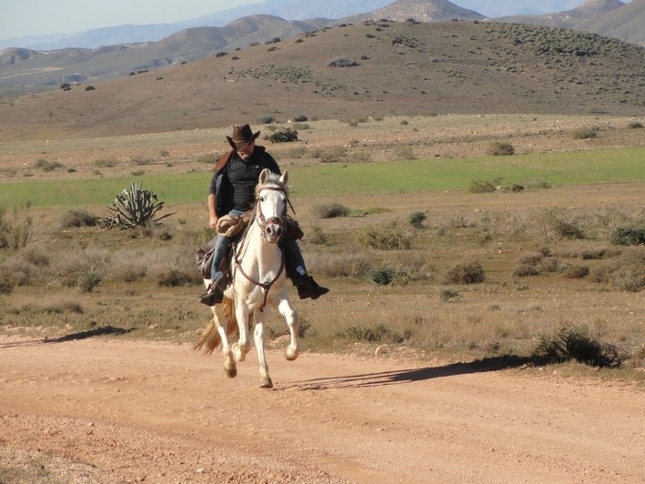 rando cheval Andalousie