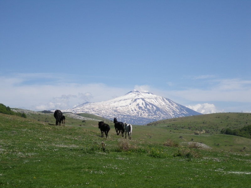 rando equestre Sicile