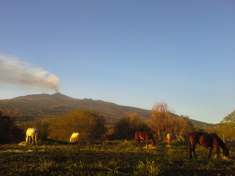 randonnee a cheval Etna Sicile