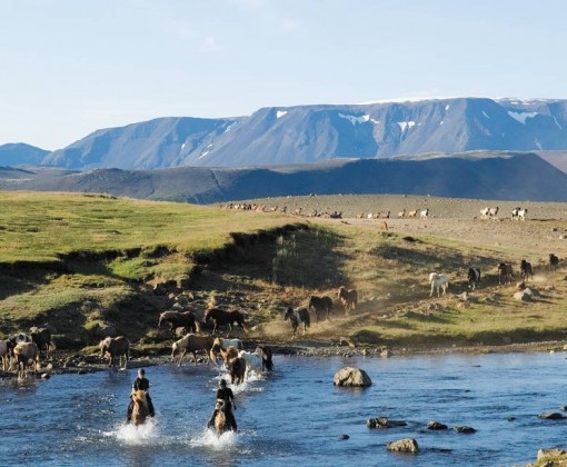 rando a cheval en islande