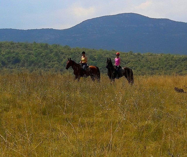 randonnée à cheval en Croatie