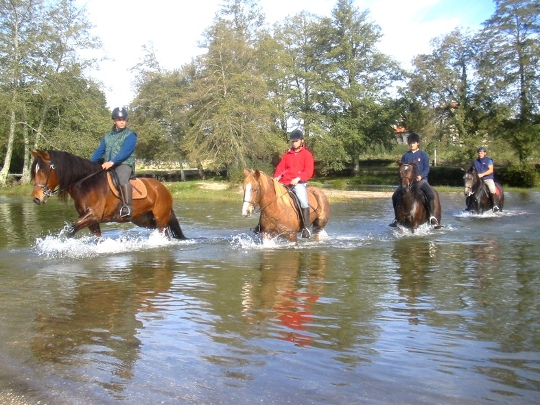 portugal a cheval