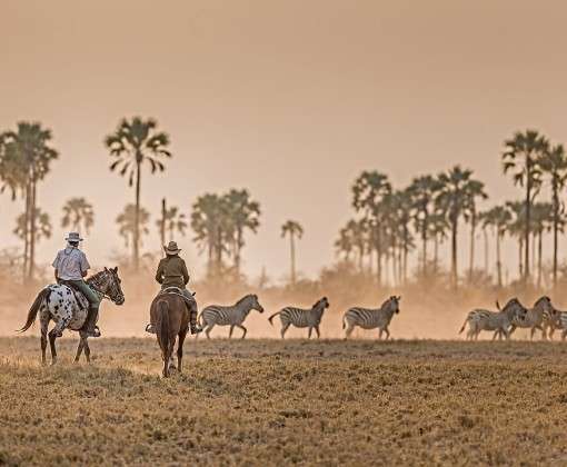 safari a cheval Botswana