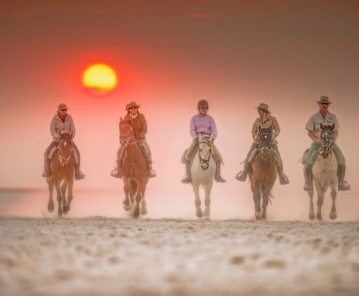 safari a cheval Kalahari