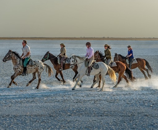 safari équestre dans le Kalahari