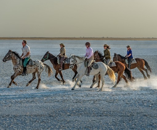 safari équestre dans le Kalahari