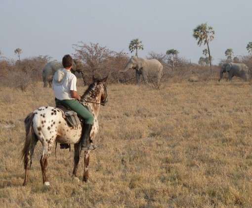 equitation safari Kalahari