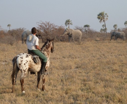 equitation safari Kalahari