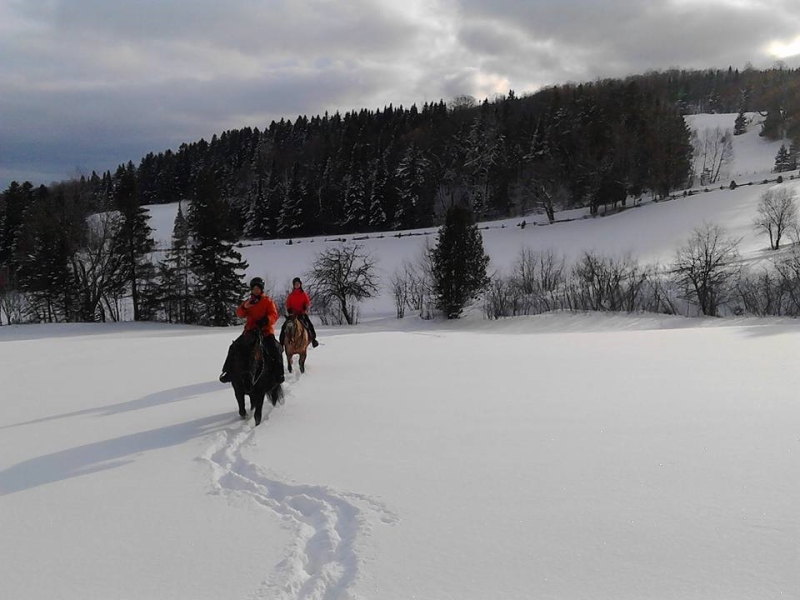 randonnee a cheval quebec