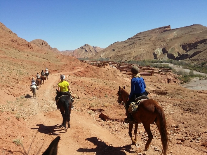 rando cheval maroc