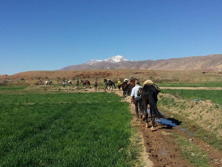 randonnee equestre maroc