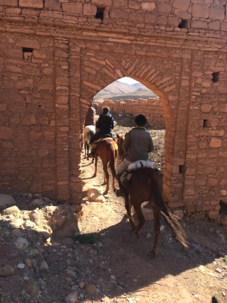 maroc a cheval