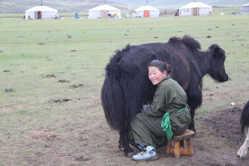vancances a cheval en mongolie