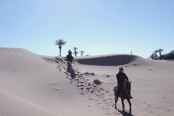 rando cheval maroc